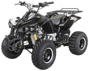 Warrior 125 cc RG 8" Automatic + RG Kinderquad - Tsilova