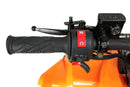 Warrior 125 cc RG 8" Automatic + RG Kinderquad - Tsilova