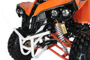 Warrior 125 cc RG 8" Automatic + RG Kinderquad - Tsilova