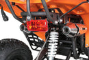 Warrior 125 cc RG 8" Automatic + RG Kinderquad - Tsilova