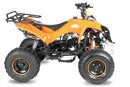 Warrior 125 cc RG 8" Automatic + RG Kinderquad - Tsilova