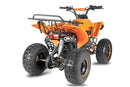 Warrior 125 cc RG 8" Automatic + RG Kinderquad - Tsilova