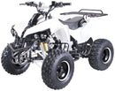Warrior 125 cc RG 8" Automatic + RG Kinderquad - Tsilova
