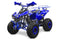 tsilova Menila ATV Warrior Platin Serie Blau ATV Warrior RG 8 125cc Midi Quad 8 Zoll Automatik + RG Kinderquad / Platin Serie Benziner