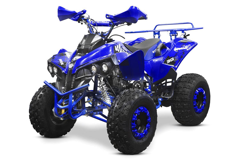 tsilova Menila ATV Warrior Platin Serie Blau ATV Warrior RG 8 125cc Midi Quad 8 Zoll Automatik + RG Kinderquad / Platin Serie Benziner