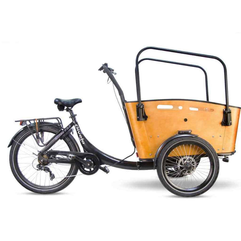 selgros elektrofahrrad E-GO Curve 3 DR7 250W Pedelec E-Bike Lastenfahrrad 26 Zoll 7-Gang Shimano